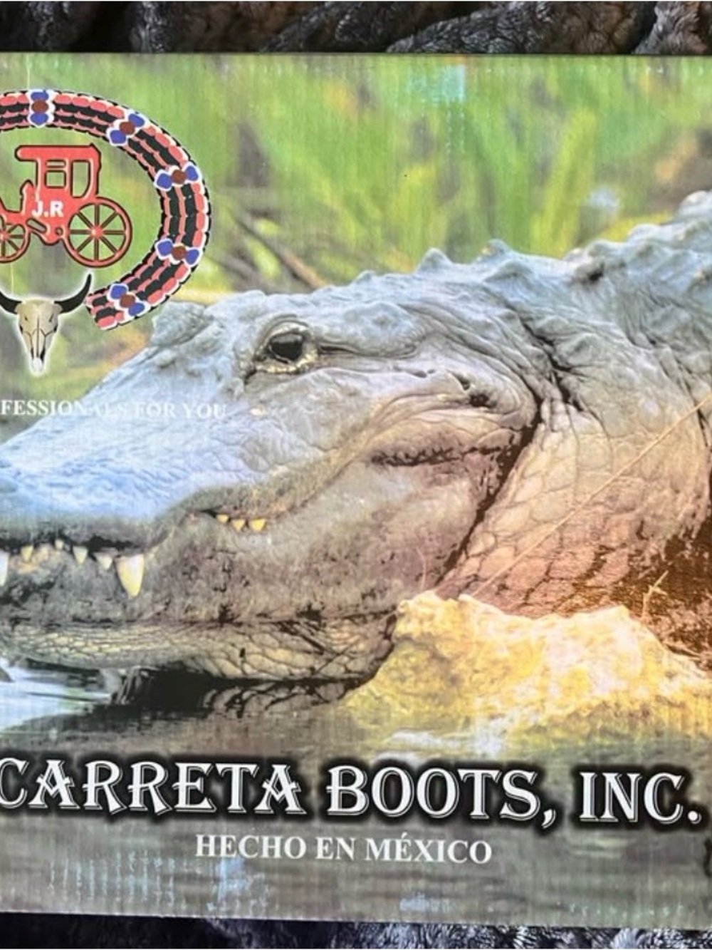 Carreta Alligator Art Panel - Green, Brown and Cream